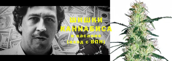 амф Бронницы