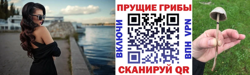 МЕГА как зайти  Гремячинск  Галлюциногенные грибы Psilocybe  даркнет сайт 